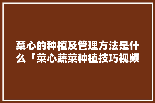 菜心的种植及管理方法是什么「菜心蔬菜种植技巧视频」