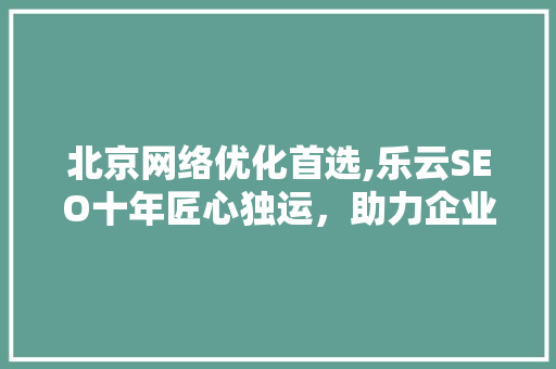 北京网络优化首选,乐云SEO十年匠心独运，助力企业腾飞