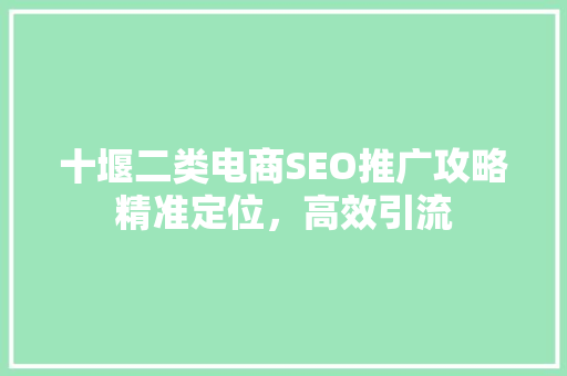 十堰二类电商SEO推广攻略精准定位，高效引流