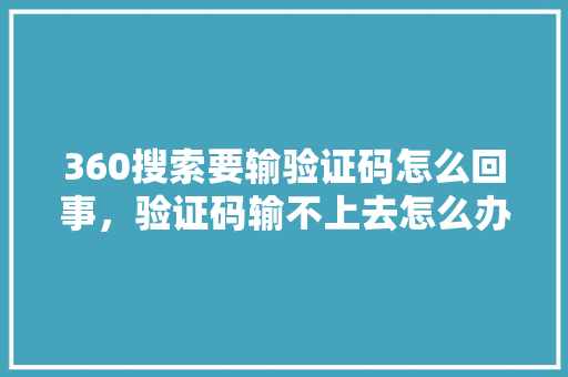 360搜索要输验证码怎么回事，验证码输不上去怎么办