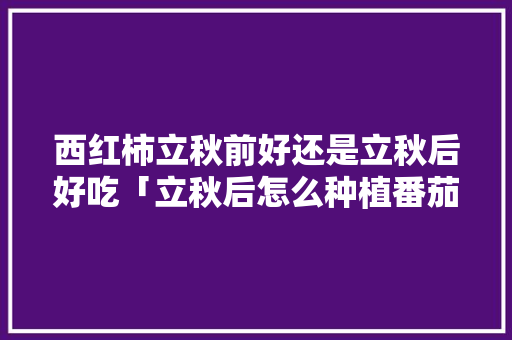 西红柿立秋前好还是立秋后好吃「立秋后怎么种植番茄呢」 西红柿立秋前好还是立秋后好吃「立秋后怎么种植番茄呢」 番茄种植技巧