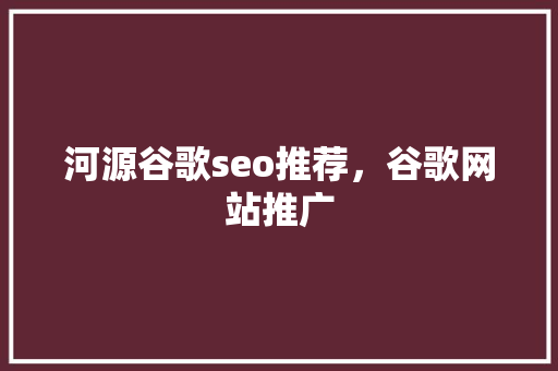 河源谷歌seo推荐，谷歌网站推广