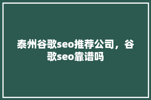 泰州谷歌seo推荐公司，谷歌seo靠谱吗