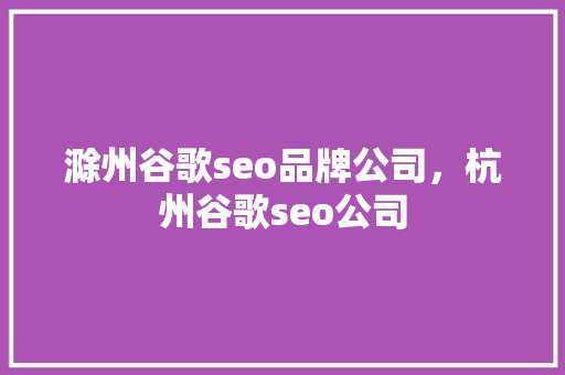 滁州谷歌seo品牌公司，杭州谷歌seo公司