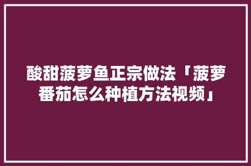 酸甜菠萝鱼正宗做法「菠萝番茄怎么种植方法视频」