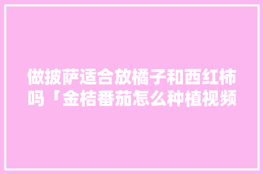 做披萨适合放橘子和西红柿吗「金桔番茄怎么种植视频」