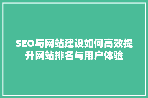 SEO与网站建设如何高效提升网站排名与用户体验