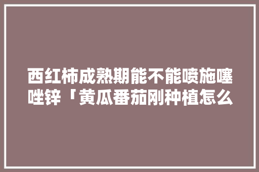 西红柿成熟期能不能喷施噻唑锌「黄瓜番茄刚种植怎么打药视频」 西红柿成熟期能不能喷施噻唑锌「黄瓜番茄刚种植怎么打药视频」 农业常识