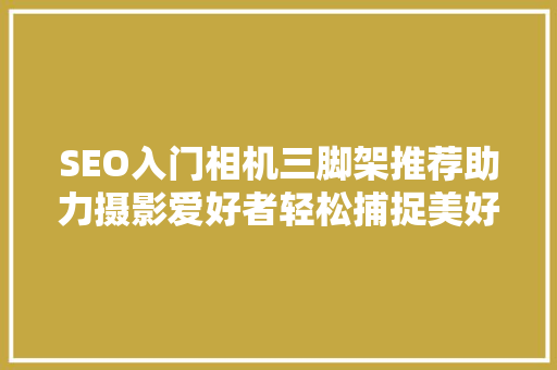 SEO入门相机三脚架推荐助力摄影爱好者轻松捕捉美好瞬间