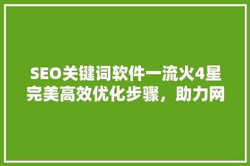 SEO关键词软件一流火4星完美高效优化步骤，助力网站排名提升