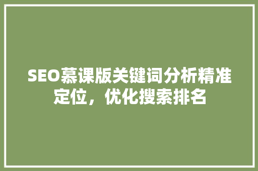 SEO慕课版关键词分析精准定位，优化搜索排名