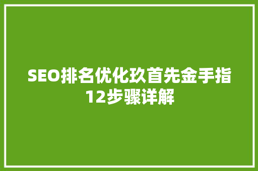 SEO排名优化玖首先金手指12步骤详解