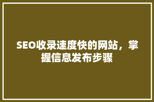 SEO收录速度快的网站，掌握信息发布步骤