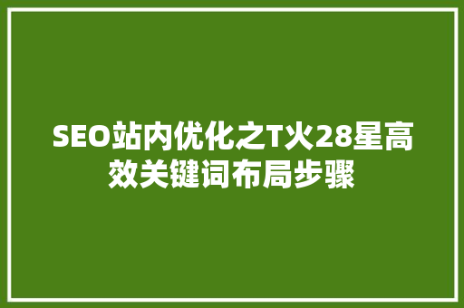 SEO站内优化之T火28星高效关键词布局步骤