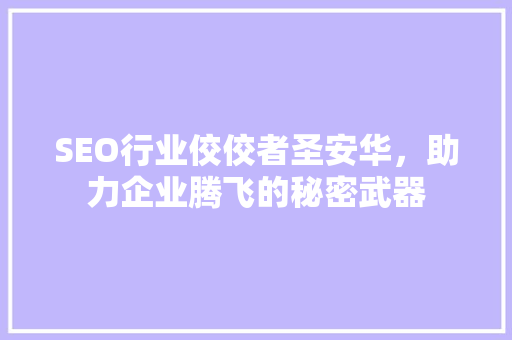 SEO行业佼佼者圣安华，助力企业腾飞的秘密武器