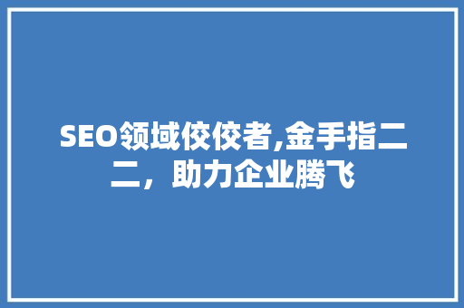 SEO领域佼佼者,金手指二二，助力企业腾飞