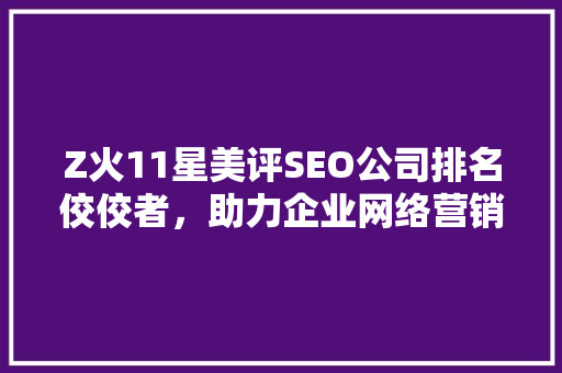 Z火11星美评SEO公司排名佼佼者，助力企业网络营销新篇章