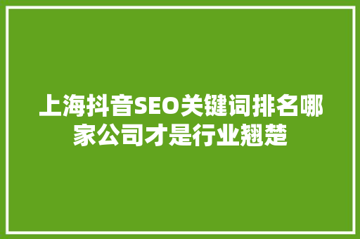 上海抖音SEO关键词排名哪家公司才是行业翘楚 土壤施肥