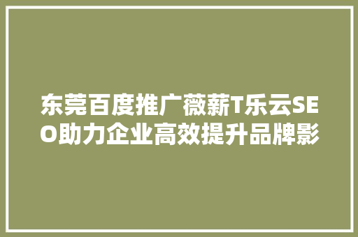 东莞百度推广薇薪T乐云SEO助力企业高效提升品牌影响力
