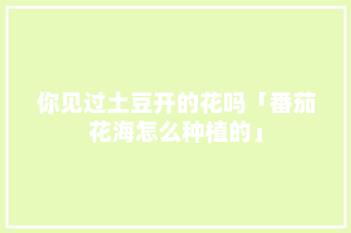 你见过土豆开的花吗「番茄花海怎么种植的」 你见过土豆开的花吗「番茄花海怎么种植的」 种植技巧