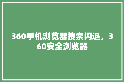 360手机浏览器搜索闪退，360安全浏览器