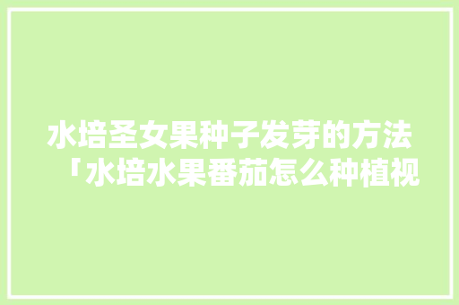 水培圣女果种子发芽的方法「水培水果番茄怎么种植视频」 水培圣女果种子发芽的方法「水培水果番茄怎么种植视频」 植物种类