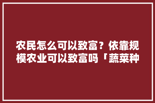 农民怎么可以致富？依靠规模农业可以致富吗「蔬菜种植小妙招」