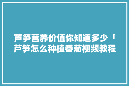 芦笋营养价值你知道多少「芦笋怎么种植番茄视频教程」