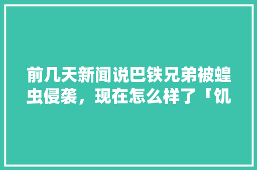 前几天新闻说巴铁兄弟被蝗虫侵袭，现在怎么样了「饥荒洋葱番茄怎么种植视频」 前几天新闻说巴铁兄弟被蝗虫侵袭，现在怎么样了「饥荒洋葱番茄怎么种植视频」 农业常识
