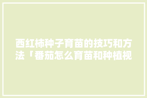 西红柿种子育苗的技巧和方法「番茄怎么育苗和种植视频」 植物种类 西红柿种子育苗的技巧和方法「番茄怎么育苗和种植视频」 西红柿种子育苗的技巧和方法「番茄怎么育苗和种植视频」 植物种类