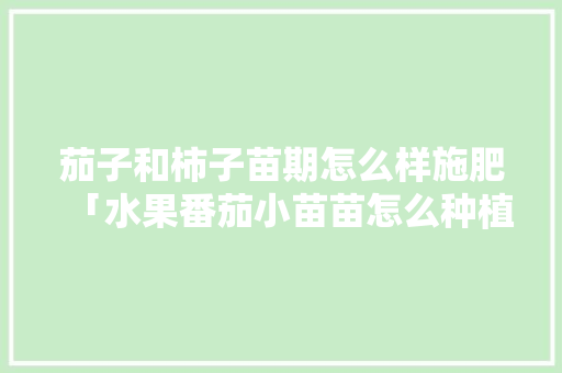 茄子和柿子苗期怎么样施肥「水果番茄小苗苗怎么种植视频」 茄子和柿子苗期怎么样施肥「水果番茄小苗苗怎么种植视频」 花朵知识