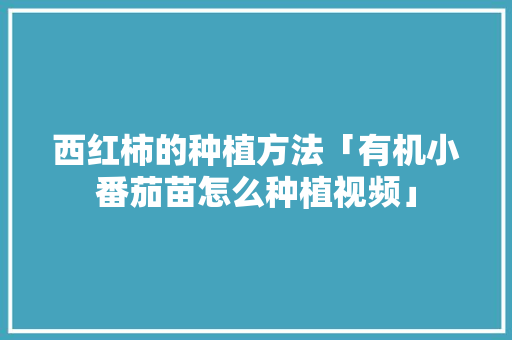 西红柿的种植方法「有机小番茄苗怎么种植视频」 西红柿的种植方法「有机小番茄苗怎么种植视频」 花朵知识
