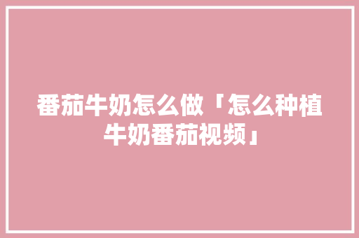 番茄牛奶怎么做「怎么种植牛奶番茄视频」 番茄牛奶怎么做「怎么种植牛奶番茄视频」 农业常识