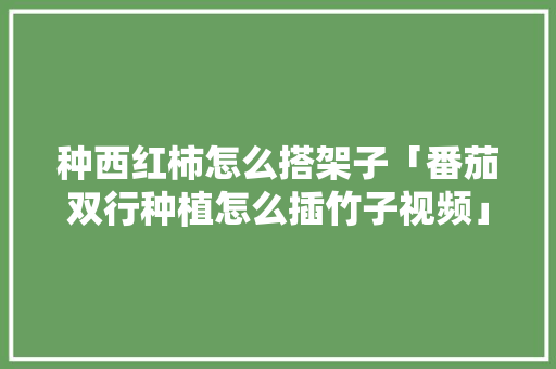种西红柿怎么搭架子「番茄双行种植怎么插竹子视频」 种西红柿怎么搭架子「番茄双行种植怎么插竹子视频」 番茄种植技巧