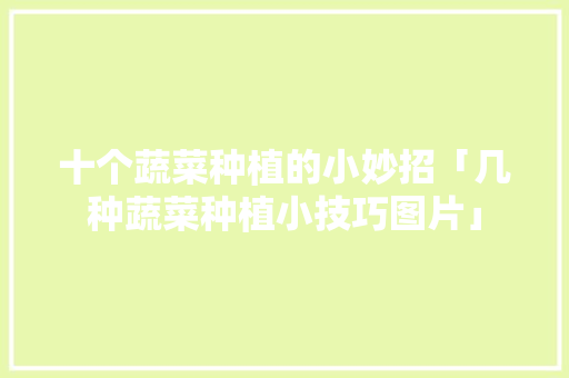 十个蔬菜种植的小妙招「几种蔬菜种植小技巧图片」 十个蔬菜种植的小妙招「几种蔬菜种植小技巧图片」 番茄种植技巧