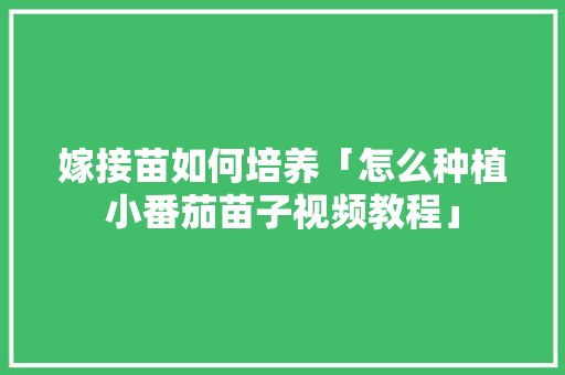 嫁接苗如何培养「怎么种植小番茄苗子视频教程」
