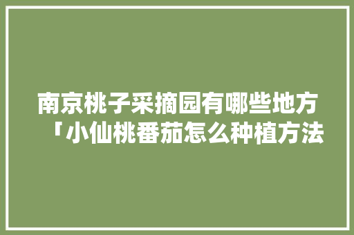南京桃子采摘园有哪些地方「小仙桃番茄怎么种植方法视频」 南京桃子采摘园有哪些地方「小仙桃番茄怎么种植方法视频」 农业常识
