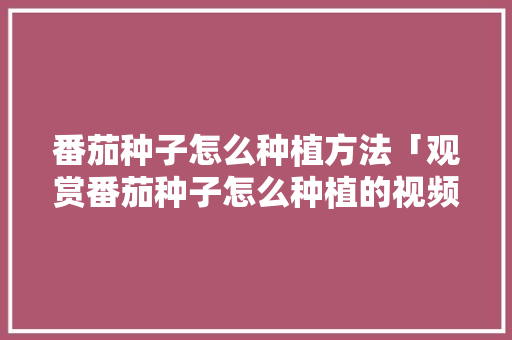 番茄种子怎么种植方法「观赏番茄种子怎么种植的视频」 番茄种子怎么种植方法「观赏番茄种子怎么种植的视频」 土壤施肥