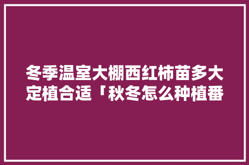 冬季温室大棚西红柿苗多大定植合适「秋冬怎么种植番茄苗视频」 冬季温室大棚西红柿苗多大定植合适「秋冬怎么种植番茄苗视频」 花朵知识