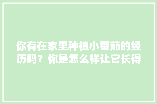 你有在家里种植小番茄的经历吗？你是怎么样让它长得更好的「怎么自己阳台种植番茄呢」 你有在家里种植小番茄的经历吗？你是怎么样让它长得更好的「怎么自己阳台种植番茄呢」 番茄种植技巧