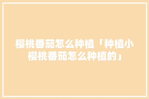 樱桃番茄怎么种植「种植小樱桃番茄怎么种植的」 樱桃番茄怎么种植「种植小樱桃番茄怎么种植的」 番茄种植技巧