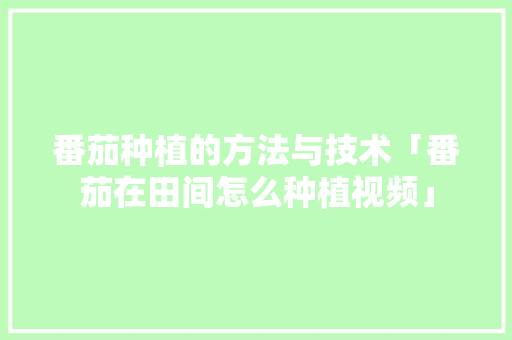 番茄种植的方法与技术「番茄在田间怎么种植视频」 番茄种植的方法与技术「番茄在田间怎么种植视频」 农业常识