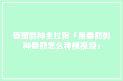 番茄栽种全过程「用番茄树种番茄怎么种植视频」 番茄栽种全过程「用番茄树种番茄怎么种植视频」 番茄种植技巧