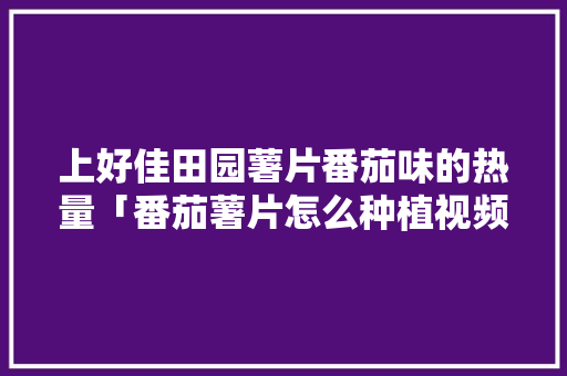 上好佳田园薯片番茄味的热量「番茄薯片怎么种植视频」