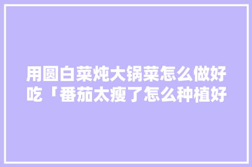 用圆白菜炖大锅菜怎么做好吃「番茄太瘦了怎么种植好吃呢」