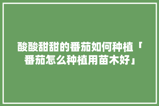 酸酸甜甜的番茄如何种植「番茄怎么种植用苗木好」 植物种类 酸酸甜甜的番茄如何种植「番茄怎么种植用苗木好」 酸酸甜甜的番茄如何种植「番茄怎么种植用苗木好」 植物种类
