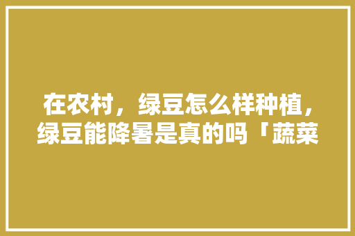 在农村，绿豆怎么样种植，绿豆能降暑是真的吗「蔬菜种植小技巧绿豆芽视频」