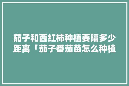 茄子和西红柿种植要隔多少距离「茄子番茄苗怎么种植的视频」