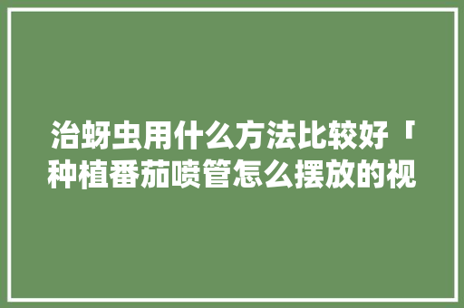治蚜虫用什么方法比较好「种植番茄喷管怎么摆放的视频」