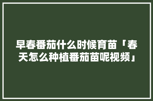 早春番茄什么时候育苗「春天怎么种植番茄苗呢视频」 早春番茄什么时候育苗「春天怎么种植番茄苗呢视频」 番茄种植技巧